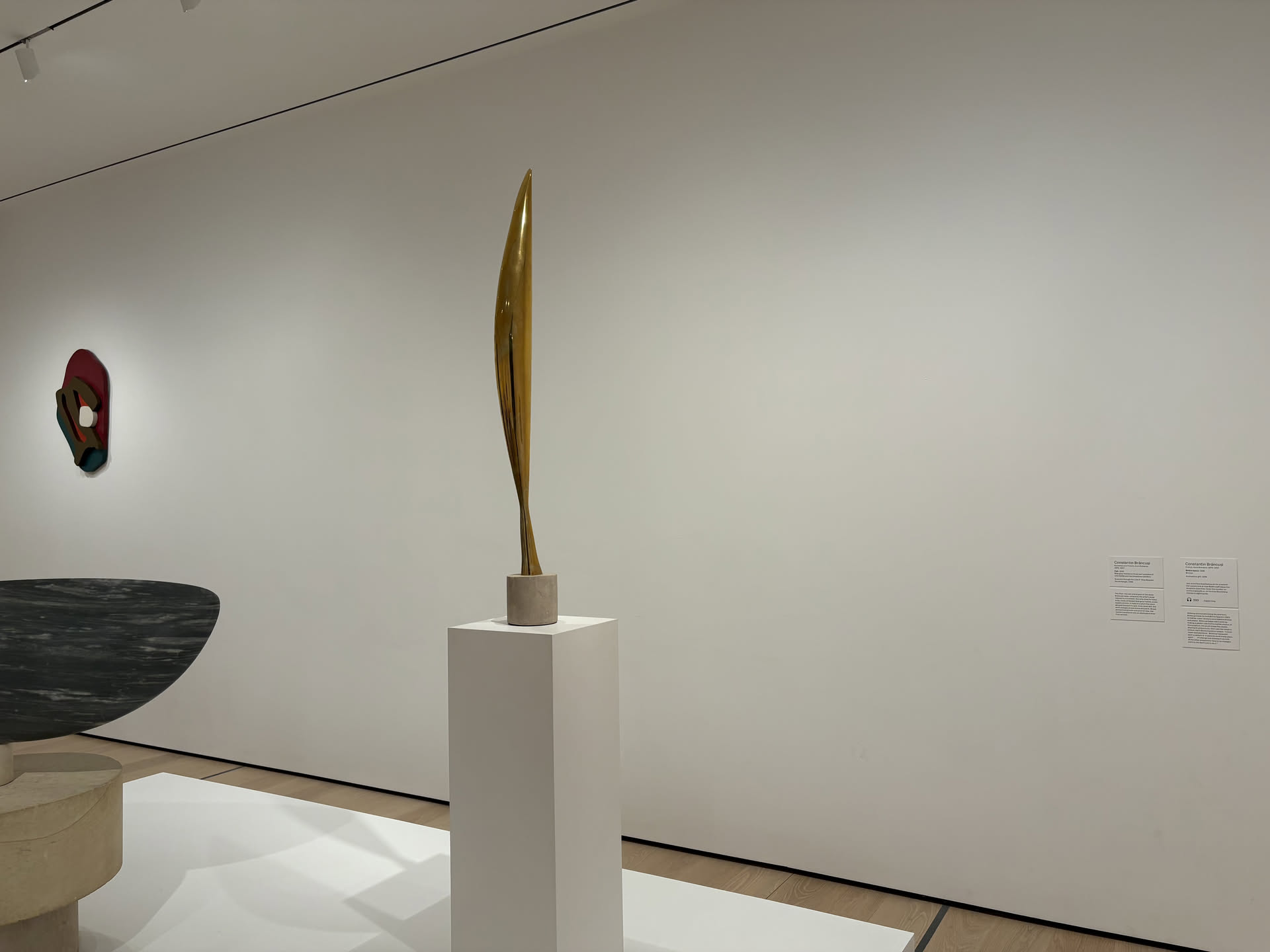 Constantin Brancusi's Bird in Space displayed at MoMA