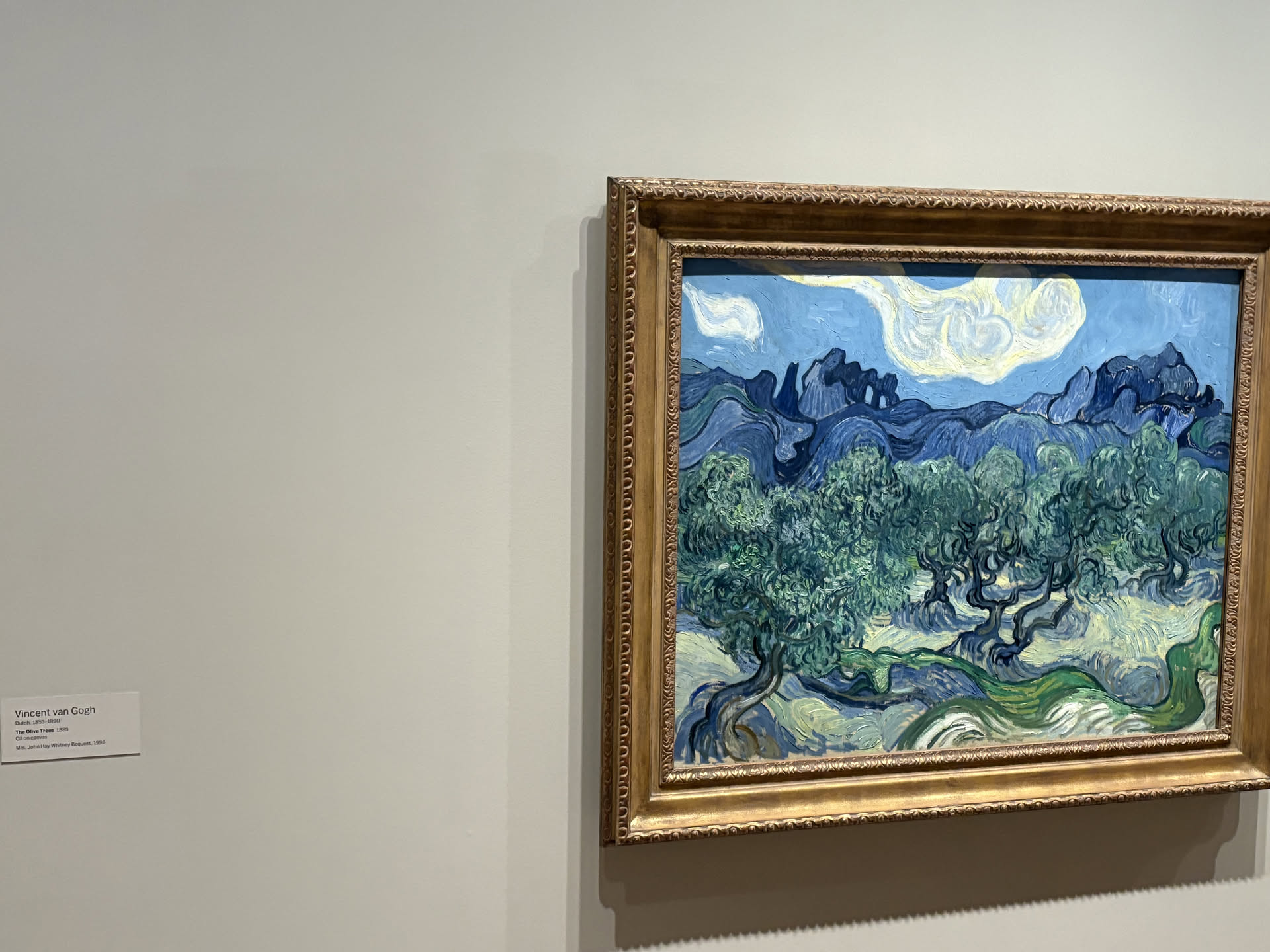 Vincent van Gogh's The Olive Trees displayed at MoMA