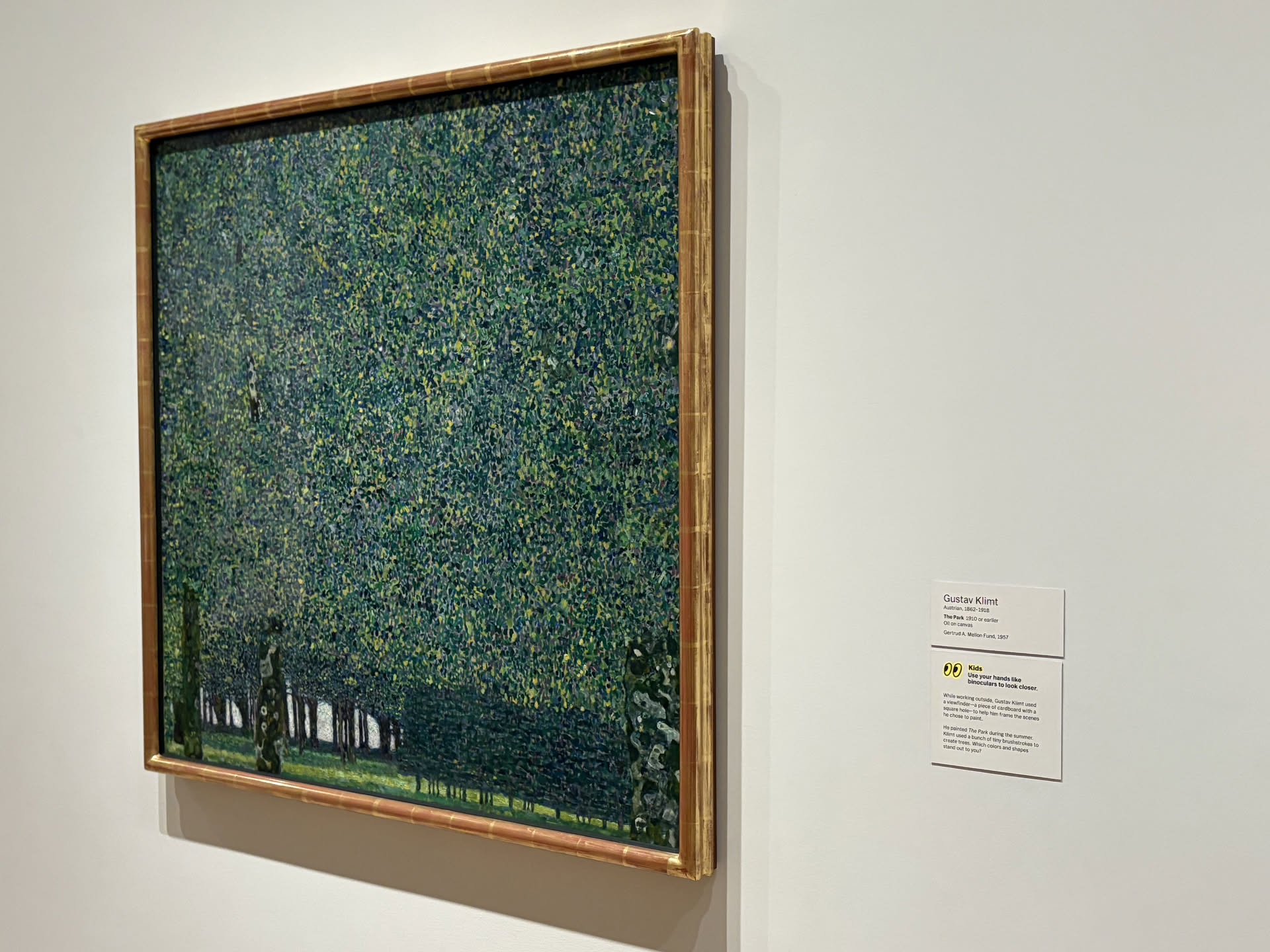Gustav Klimt's The Park displayed at MoMA