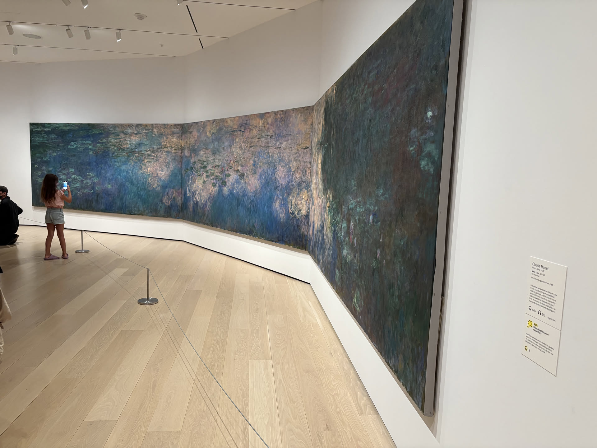 Claude Monet's Water Lilies displayed at MoMA